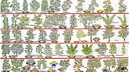 藏藥材資源分布、發(fā)展史